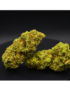 Lemon Haze CBD (Moyenne et Grande fleurs) 2
